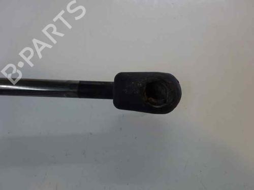 Tailgate lift support RENAULT MEGANE II Estate (KM0/1_) 1.9 dCi (KMRG, KM1G, KM0G, KM2C) | BP14172764C138 