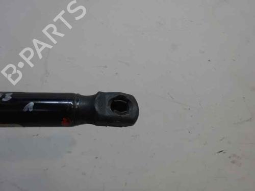 Tailgate lift support RENAULT MEGANE II Estate (KM0/1_) 1.9 dCi (KMRG, KM1G, KM0G, KM2C) | BP14173548C138 