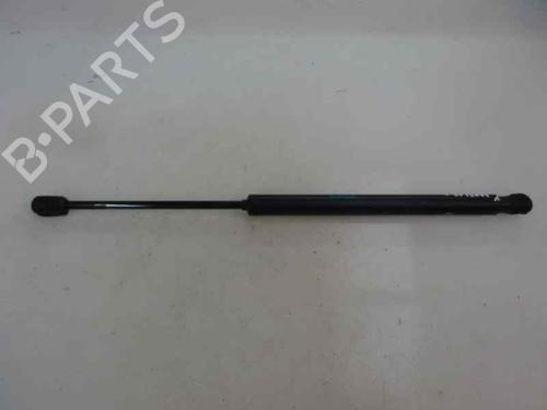 Used Tailgate lift support RENAULT MEGANE III Hatchback (BZ0/1_, B3_) 1.5 dCi (106 hp) 14170314