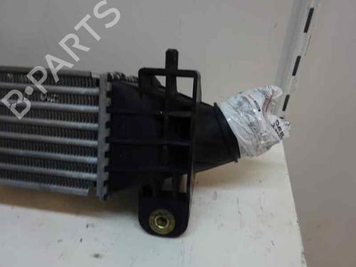 Intercooler Intercooler 1205218 1205218