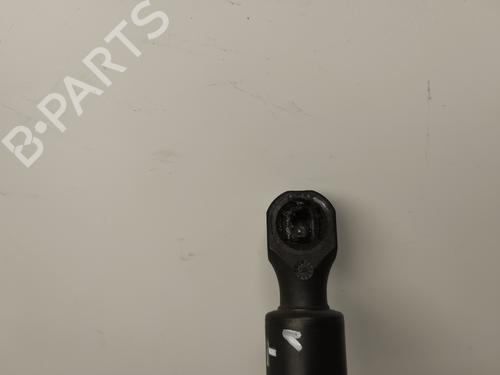 Tailgate lift support CITROËN SAXO (S0, S1)  | BP19486012C138 