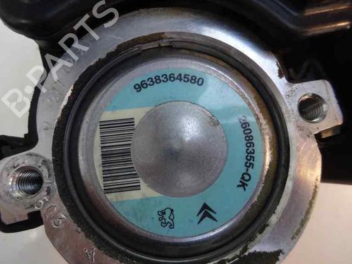 Used Steering pump PEUGEOT 206 Hatchback (2A/C) [1998-2012]  4973165