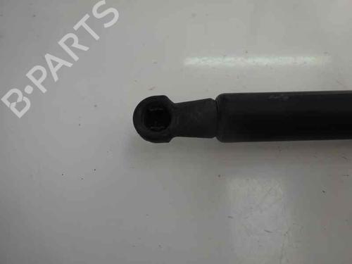 Tailgate lift support NISSAN QASHQAI / QASHQAI +2 I (J10, NJ10, JJ10E) 1.5 dCi | BP14169216C138 