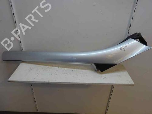 Other RENAULT SCÉNIC III (JZ0/1_) 1.9 dCi (JZ0J, JZ1J, JZ1K, JZ1S) GRIS | METALIZADO | 2009 | 2