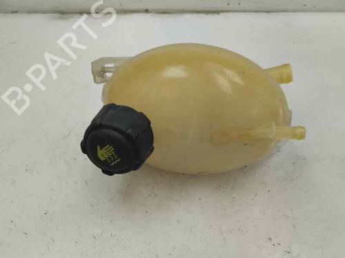 Expansion tank RENAULT CLIO IV Grandtour (KH_) 0.9 TCe 90 2014