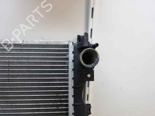 Used Water radiator LAND ROVER FREELANDER I Soft Top (L314) 2.0 TD4 4x4 (112 hp) 1389163