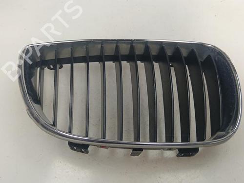 Used Grille Grille BMW 1 (E87) 120 i (150 hp) 40123753 40123753