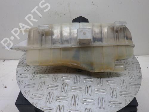 Expansion tank RENAULT CLIO III (BR0/1, CR0/1) 1.2 16V (BR02, BR0J, BR11, CR02, CR0J, CR11) | BP22199627C120 