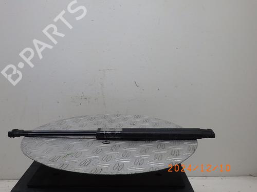 Used Tailgate lift support FIAT 500 (312_) 1.2 (312AXA1A) (69 hp) 21821127