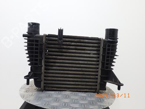 Used Intercooler RENAULT CLIO III (BR0/1, CR0/1) 1.2 16V (BR0P, CR0P) (101 hp) 17107284