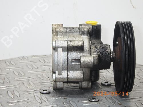 Steering pump DACIA SANDERO 1.2 16V LPG | BP17896588M99 