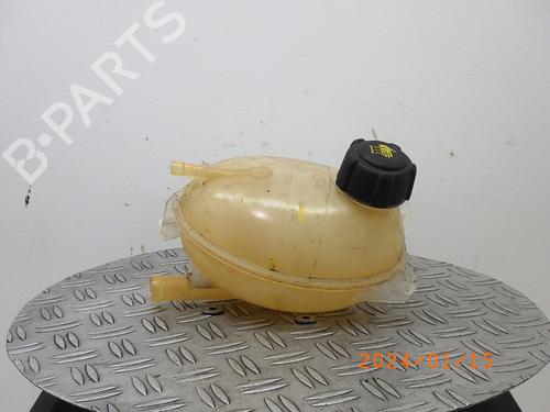 Used Expansion tank DACIA SANDERO II TCe 90 (B8M1, B8MA, B8AC) (90 hp) 16489505