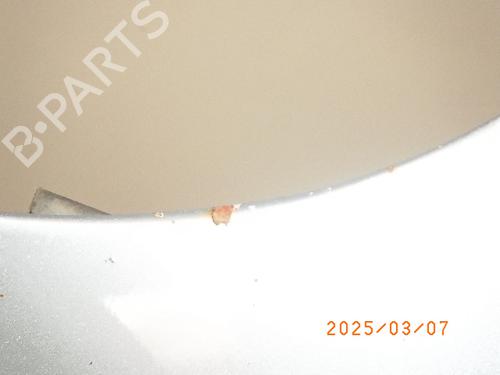 Left front fenders MERCEDES-BENZ R-CLASS (W251, V251) R 320 CDI 4-matic (251.022, 251.122) | BP22557434C41 