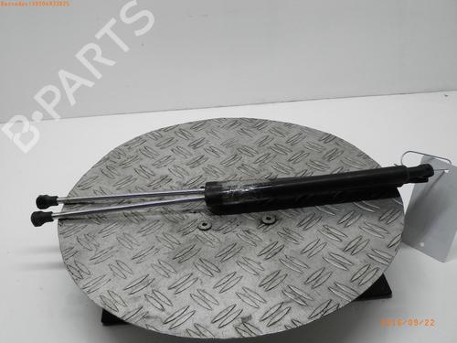 Used Tailgate lift support RENAULT CLIO III (BR0/1, CR0/1) 1.2 16V (BR02, BR0J, BR11, CR02, CR0J, CR11) (75 hp) 14754047