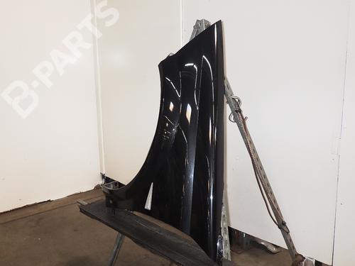 Left front fenders RENAULT MEGANE II Coupé-Cabriolet (EM0/1_) 2.0 | BP9202041C41 