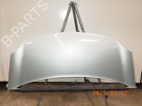 Used Hood RENAULT KANGOO / GRAND KANGOO II (KW0/1_) 1.6 (KW00, KW0Y, KW0E, KW0N, KW0P) (87 hp) 27332820