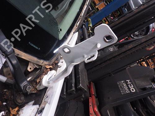 Used Hinge/Door check strap RENAULT CLIO III (BR0/1, CR0/1) 1.2 16V (BR02, BR0J, BR11, CR02, CR0J, CR11) (75 hp) 24994963
