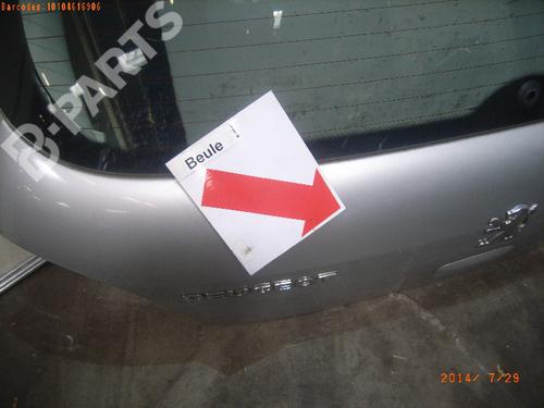 Bakluke CC/Kombi-Kupé PEUGEOT 307 (3A/C) 1.6 16V | BP288050C6 