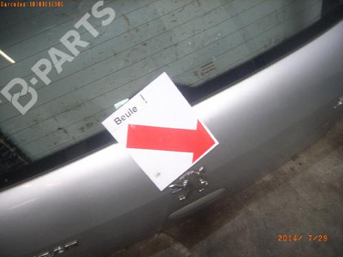 Bakluke CC/Kombi-Kupé PEUGEOT 307 (3A/C) 1.6 16V | BP288050C6 