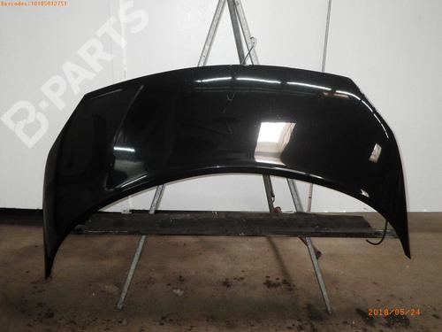 Used Hood RENAULT SCÉNIC II (JM0/1_) 1.6 (JM0C, JM0J, JM1B) (113 hp) 745000