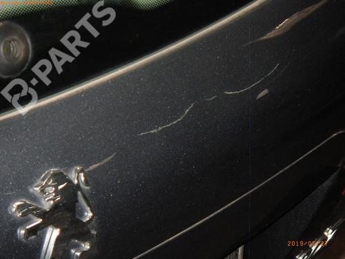 Tailgate PEUGEOT 207 (WA_, WC_) 1.6 16V VTi | BP3239445C6 