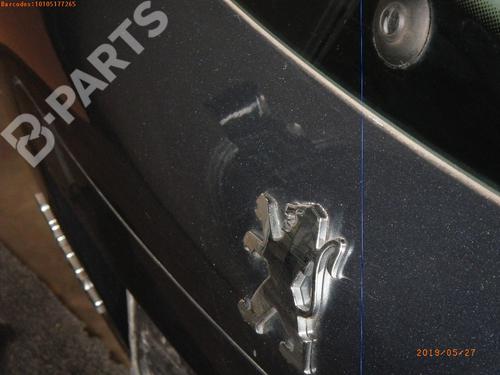 Tailgate PEUGEOT 207 (WA_, WC_) 1.6 16V VTi | BP3239445C6 