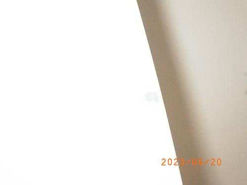 Right front door DACIA SANDERO II 1.2 | BP13543894C3 