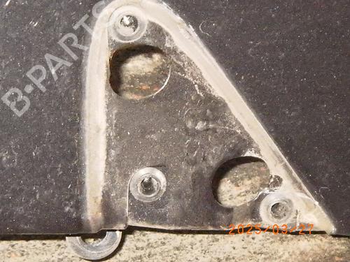 Left front fenders RENAULT CLIO III (BR0/1, CR0/1) 1.2 16V (BR02, BR0J, BR11, CR02, CR0J, CR11) | BP24572505C41 