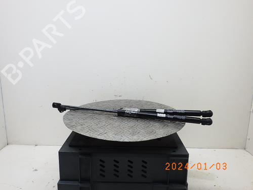 Used Tailgate lift support NISSAN MICRA IV (K13K, K13KK) 1.2 (80 hp) 16205583