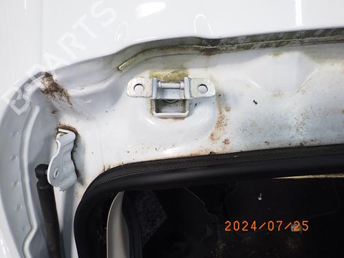 Hinge/Door check strap RENAULT CLIO IV (BH_) 1.2 16V | BP19078199C146 