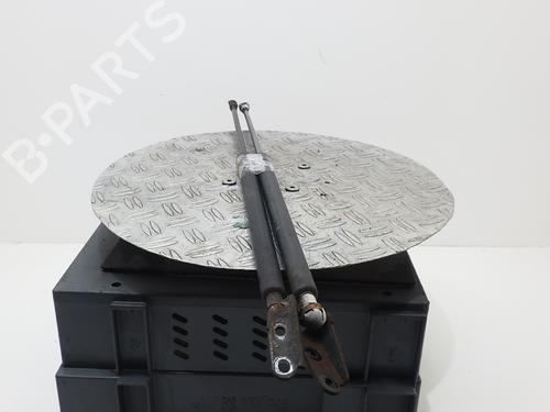 Tailgate lift support NISSAN X-TRAIL I (T30) 2.2 dCi 4x4 | BP14764233C138 