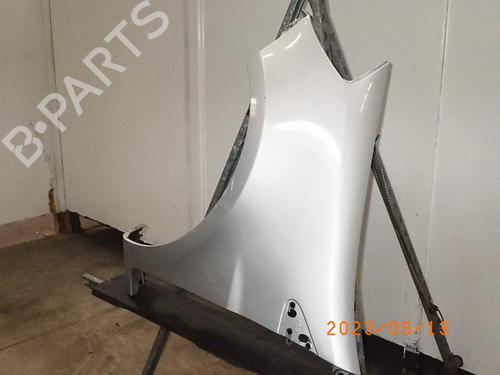 Left front fenders RENAULT CLIO III (BR0/1, CR0/1) 1.2 16V (BR02, BR0J, BR11, CR02, CR0J, CR11) | BP11700101C41 