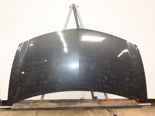 Used Hood RENAULT CLIO III (BR0/1, CR0/1) 1.2 16V (BR02, BR0J, BR11, CR02, CR0J, CR11) (75 hp) 24572507