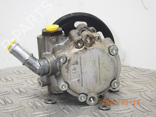Steering pump DACIA SANDERO 1.2 16V LPG | BP17896588M99 