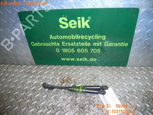 Used Hood lift support OPEL VECTRA B (J96) 1.6 i 16V (F19) (100 hp) 14749692