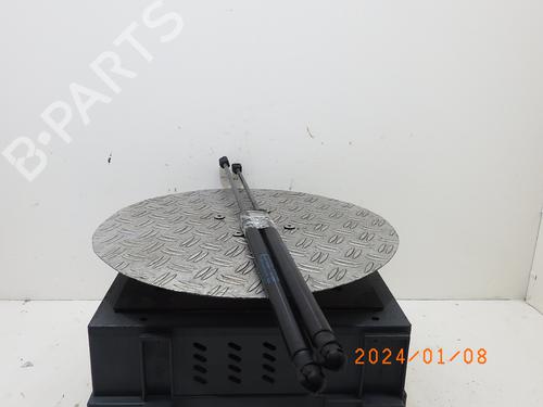 Tailgate lift support FORD FOCUS III 1.0 EcoBoost | BP16120957C138 