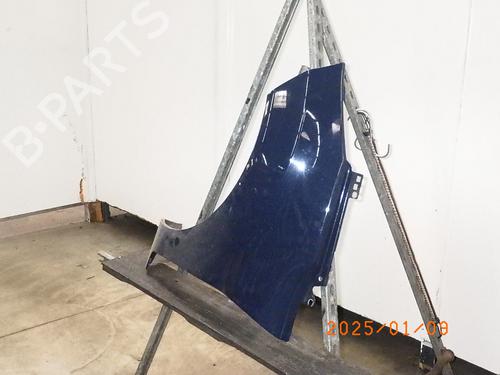 Left front fenders FORD FIESTA VI (CB1, CCN) 1.25 | BP22627058C41 
