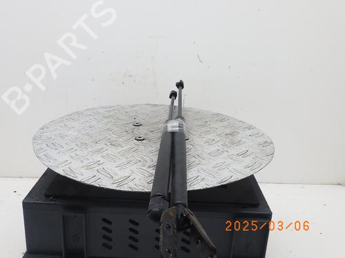 Tailgate lift support NISSAN MURANO I (Z50) 3.5 4x4 | BP24153542C138 