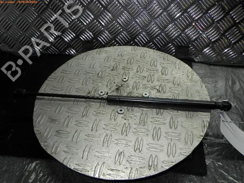 Used Tailgate lift support CITROËN C2 (JM_) 1.1 (60 hp) 14752133
