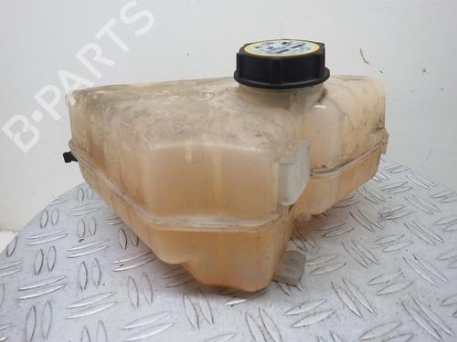 Expansion tank FORD FIESTA VI (CB1, CCN) 1.25 | BP19415528C120 