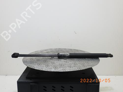 Used Tailgate lift support SKODA FABIA II (542) 1.2 (70 hp) 14764855