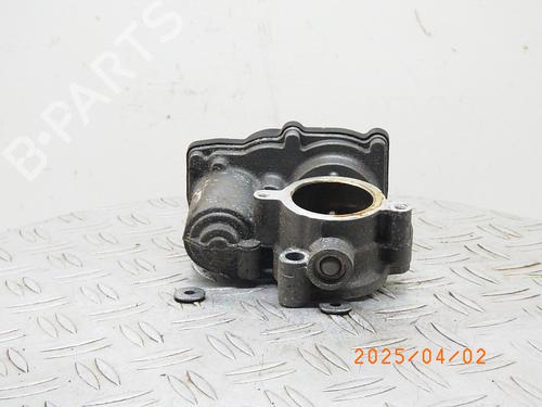 Throttle body DACIA SANDERO II 1.0 SCe 75 (B8JC, B8JD, B8NC) | BP24659189M82 