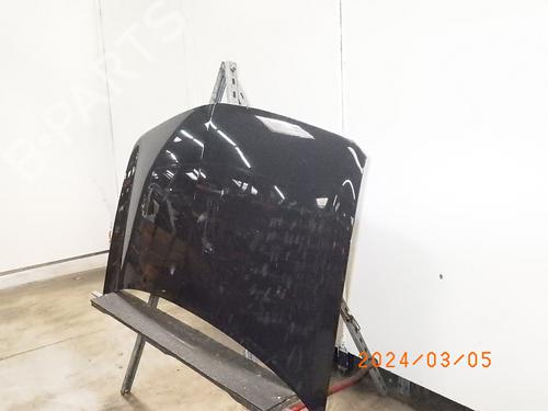 Hood RENAULT MEGANE II (BM0/1_, CM0/1_) 1.6 16V (BM0C, CM0C) | BP17060668C1 