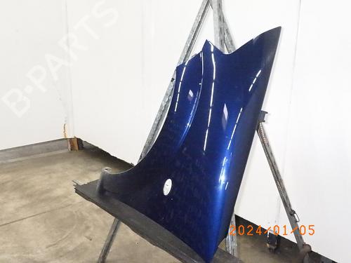 Left front fenders CITROËN C3 I (FC_, FN_) 1.4 i | BP16275470C41 