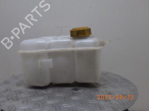 Expansion tank FORD FIESTA V (JH_, JD_) 1.4 16V | BP29066154C120 