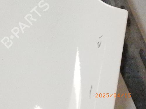 Left front fenders MERCEDES-BENZ B-CLASS Sports Tourer (W245) B 200 (245.233) | BP25119843C41 