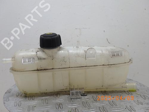 Used Expansion tank RENAULT ZOE (BFM_) ZOE (BFMC, BFMD) (136 hp) 24957708