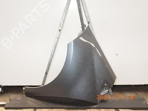 Used Left front fenders MERCEDES-BENZ A-CLASS (W169) A 150 (169.031, 169.331) (95 hp) 19021368