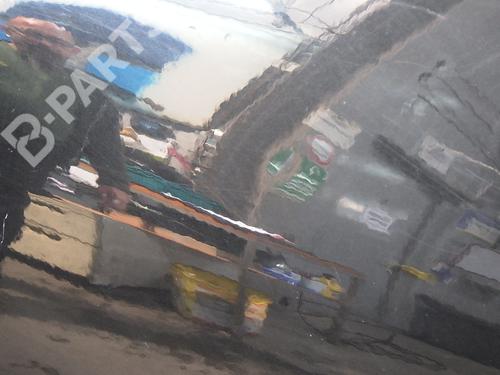 Left rear door DACIA SANDERO 1.2 16V | BP9667513C4