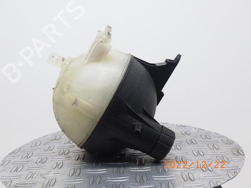 Used Expansion tank MERCEDES-BENZ A-CLASS (W169) A 180 CDI (169.007, 169.307) (109 hp) 14756975